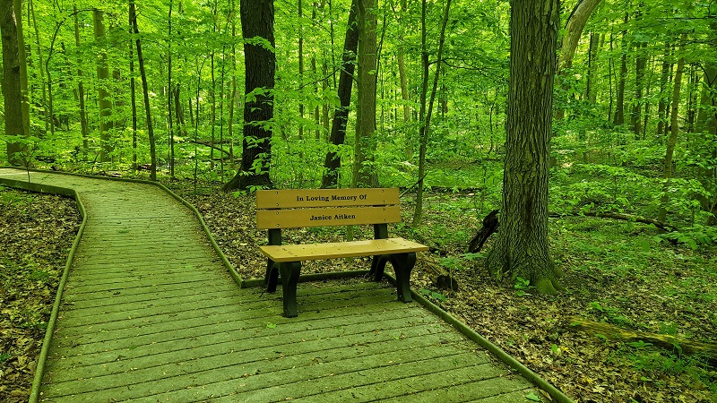 Johnson Woods benches