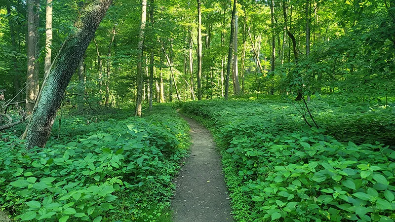 featured image