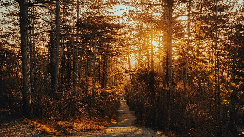featured image