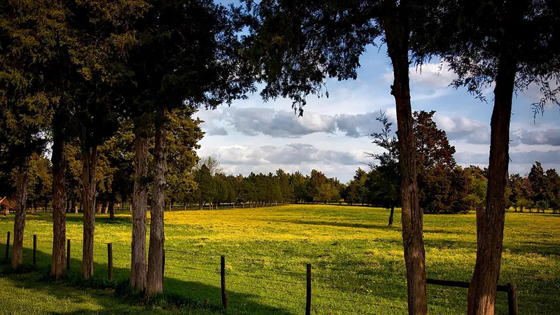 Alabama countryside farm