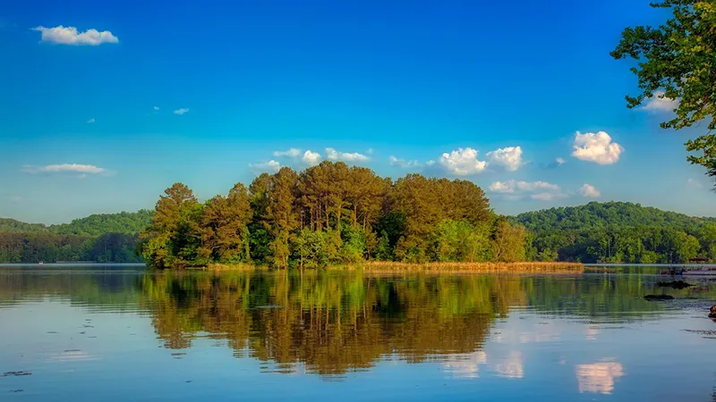 Beautiful morning at the lake