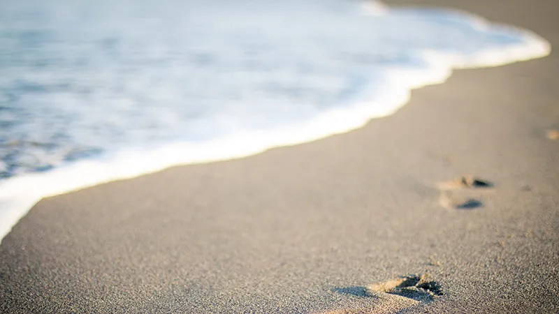 Footprints in the sand