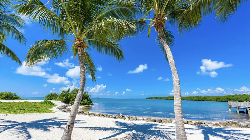 Grand Canyon Railway