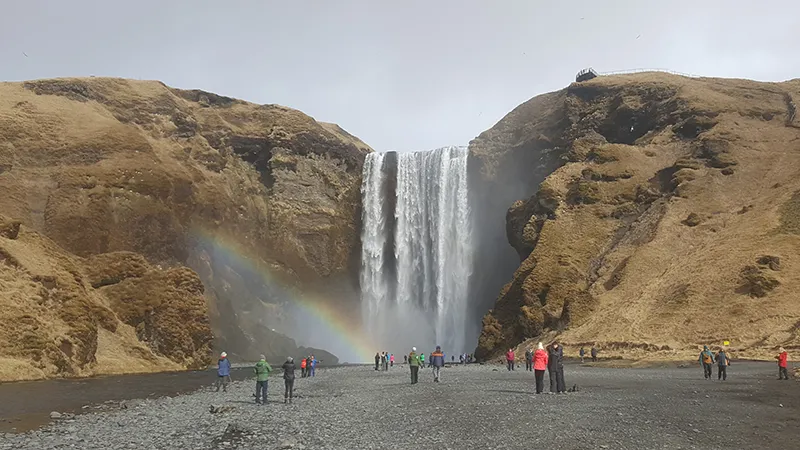 Skógafoss waterfall plunging from a green cliff into a misty pool in South Iceland