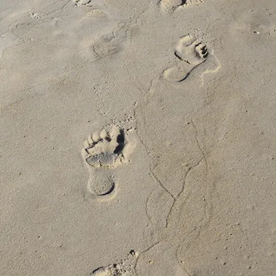 Jeffersonville Beaches
