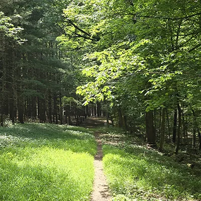 New Philadelphia Hiking