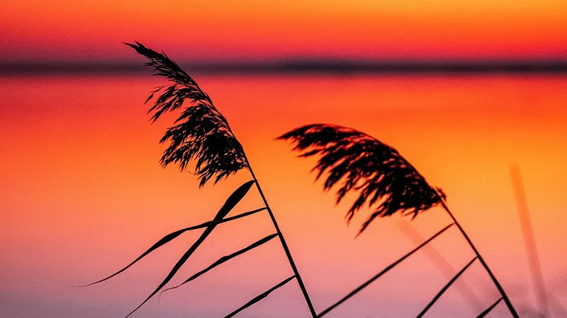 New Philadelphia Highlights