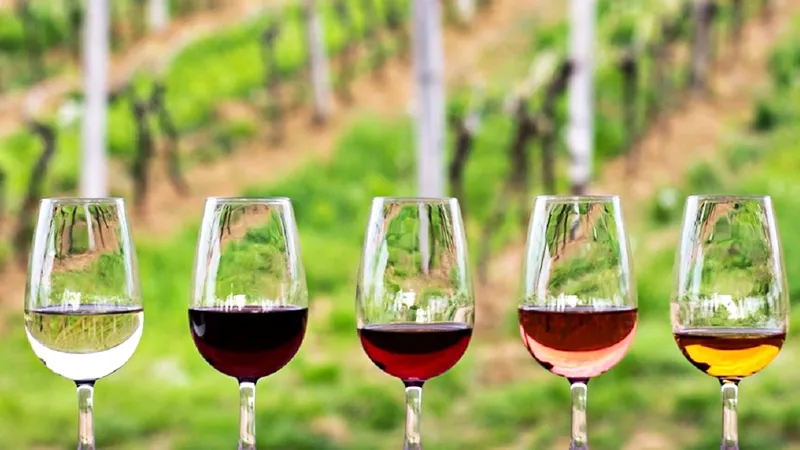 French Ridge Vineyards