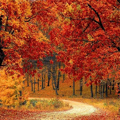 Clarksville Attractions