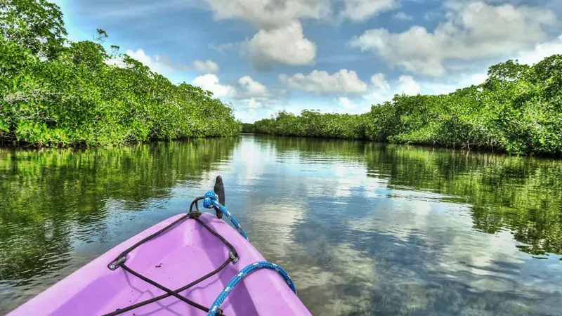Florida Keys – John Pennekamp Coral Reef State Park