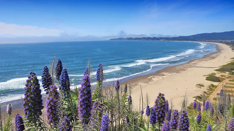 Stinson Beach ocean view