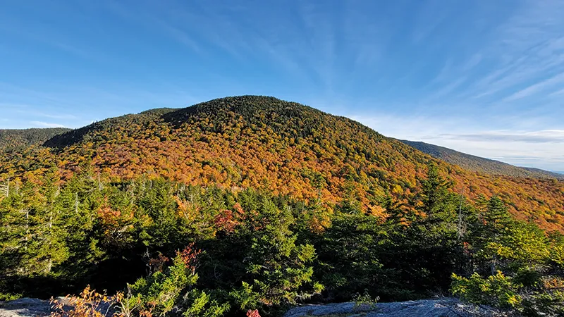 CC Putnam State Forest