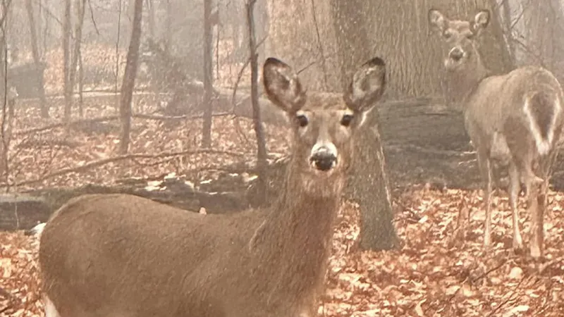 southeast ohio