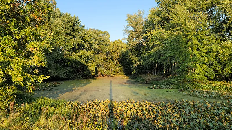 Lower Killbuck Creek Wildlife Area