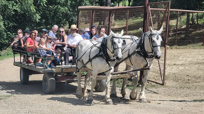 The Farm at Walnut Creek