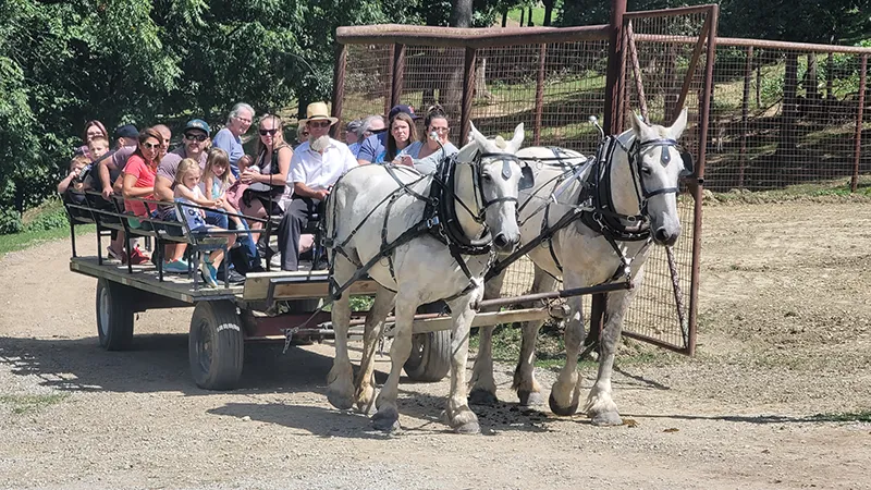 Horse-Drawn Wagon Rides