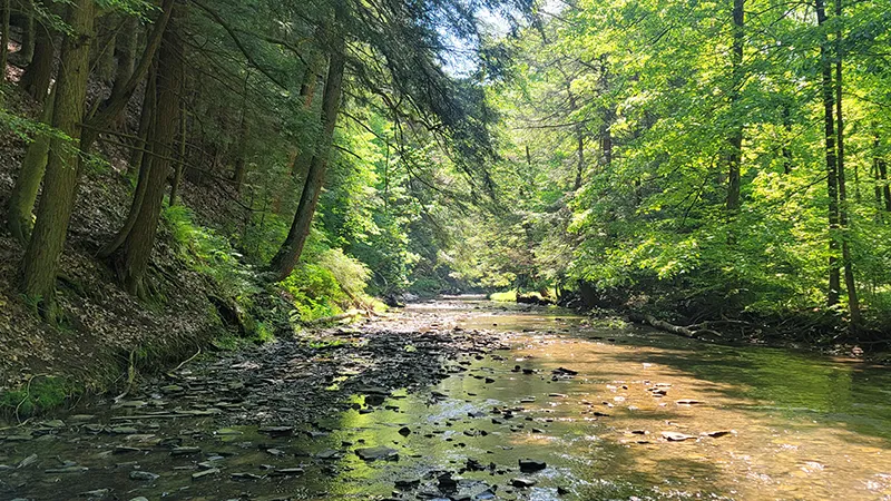 central ohio