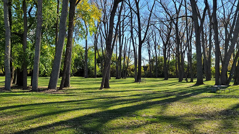 Park Amenities