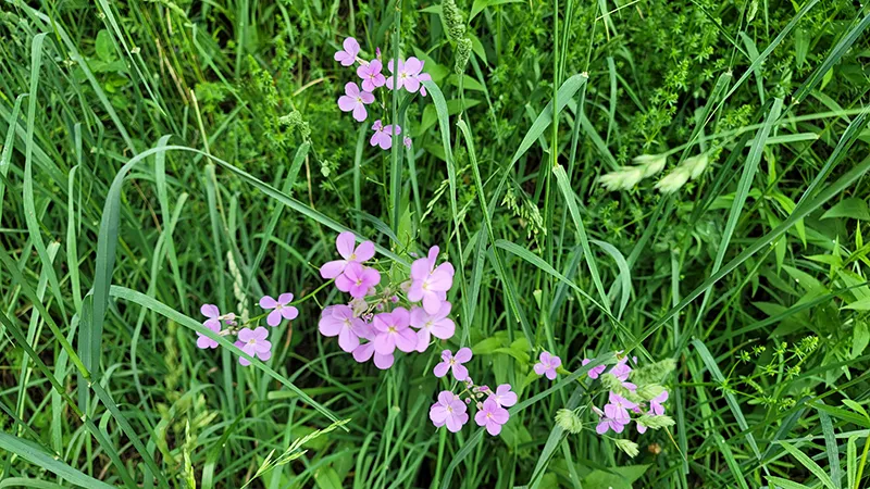 southeast ohio