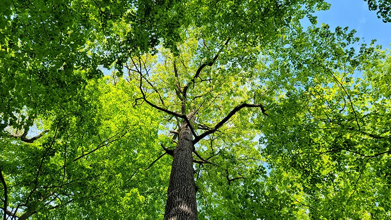 northeast ohio