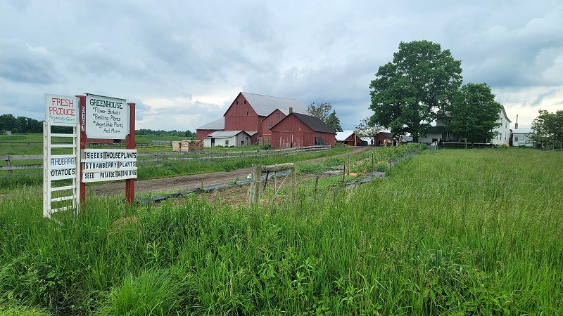 The Greenhouse on Senff Road.