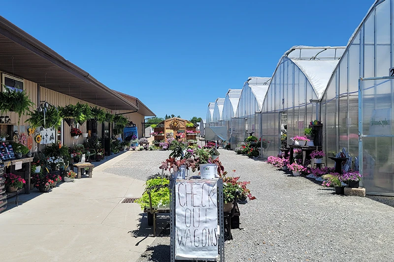 Entrances to the greenhouses