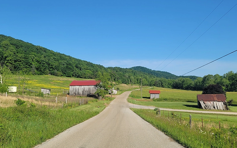 Featured specialty example