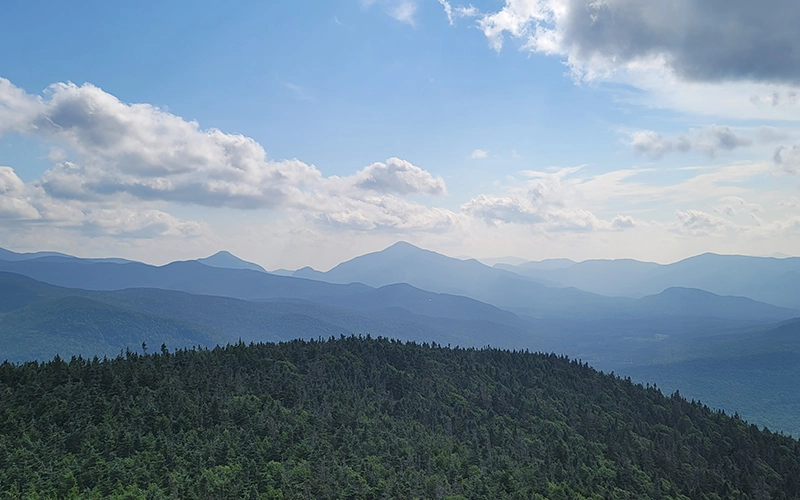 Featured specialty example