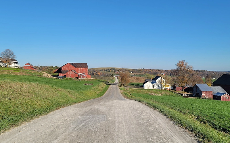 Primary service example