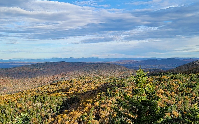 Featured specialty example