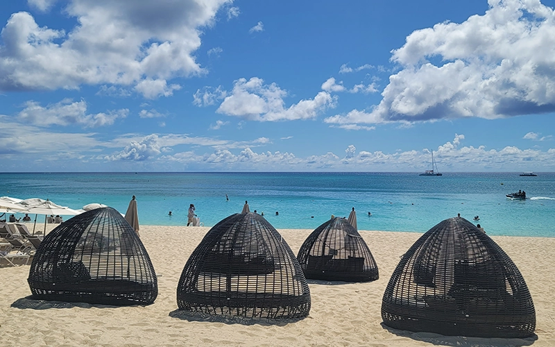 Featured specialty example