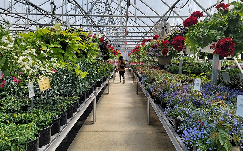 Featured specialty example