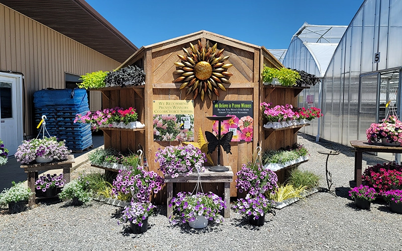 Featured specialty example