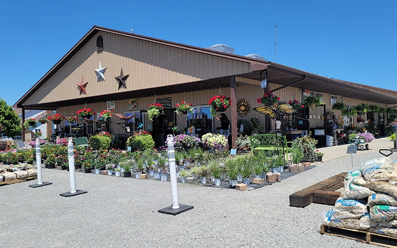 Primary service example