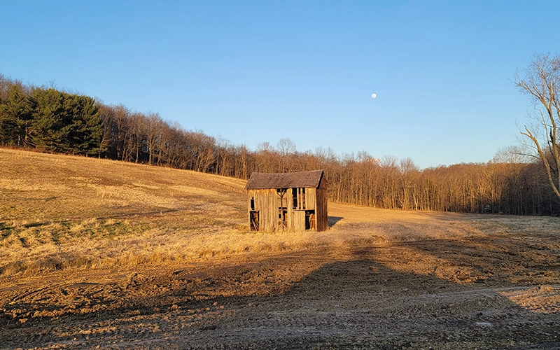 Featured specialty example