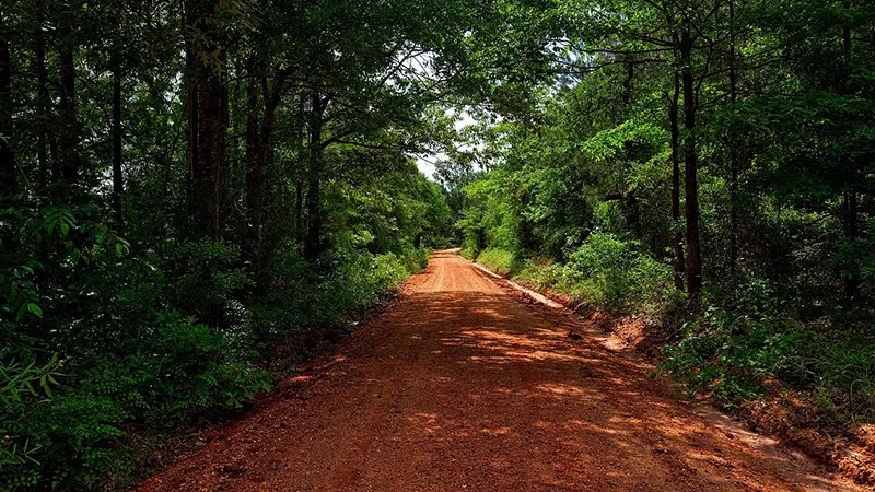 featured image