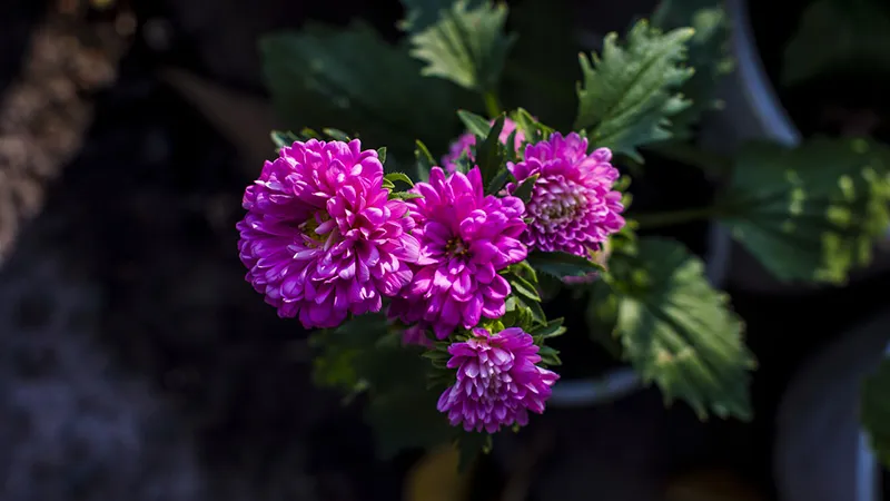 featured image