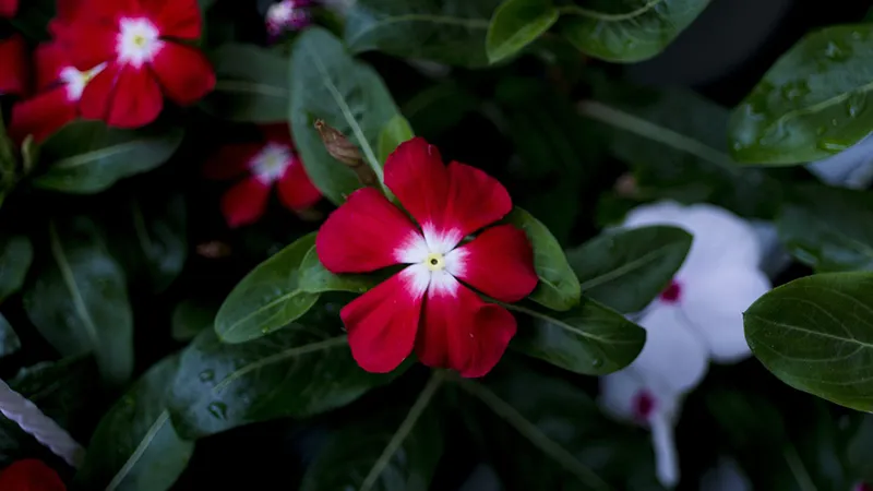 featured image