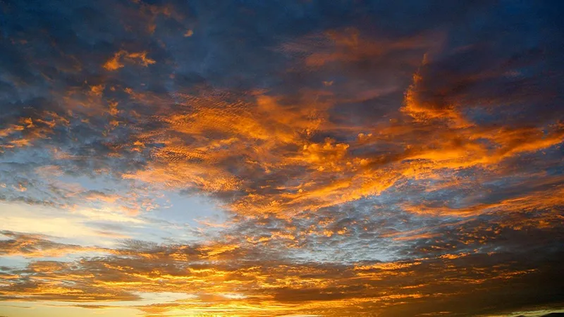 featured image