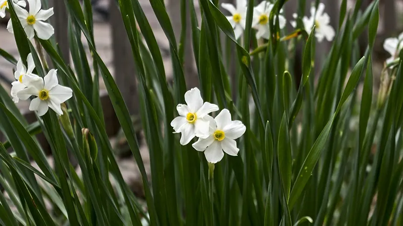 featured image