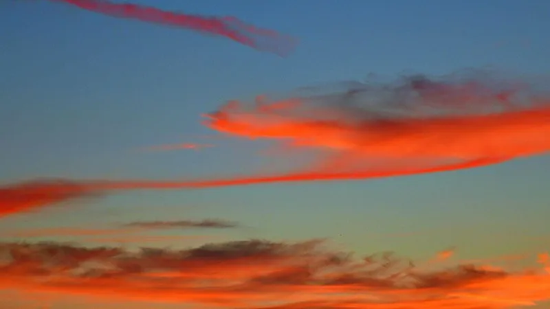 featured image