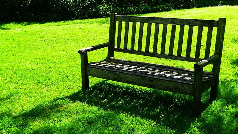 featured image