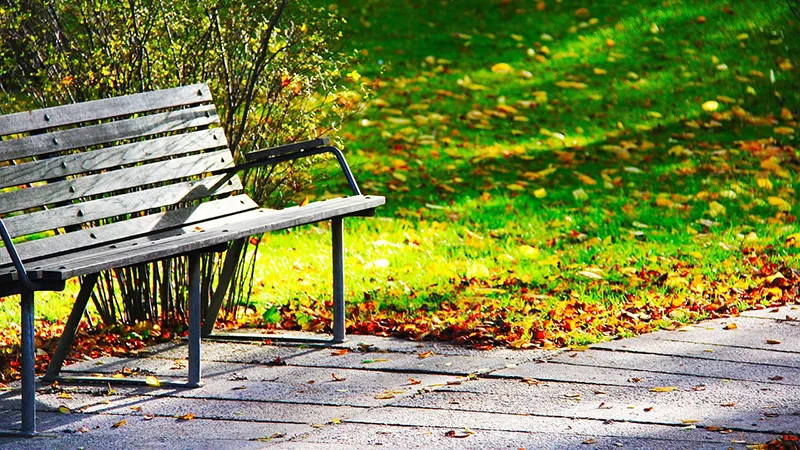 featured image