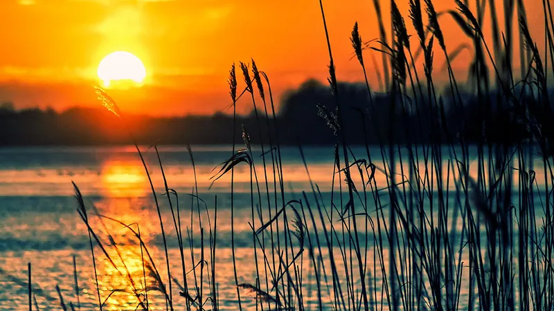 featured image
