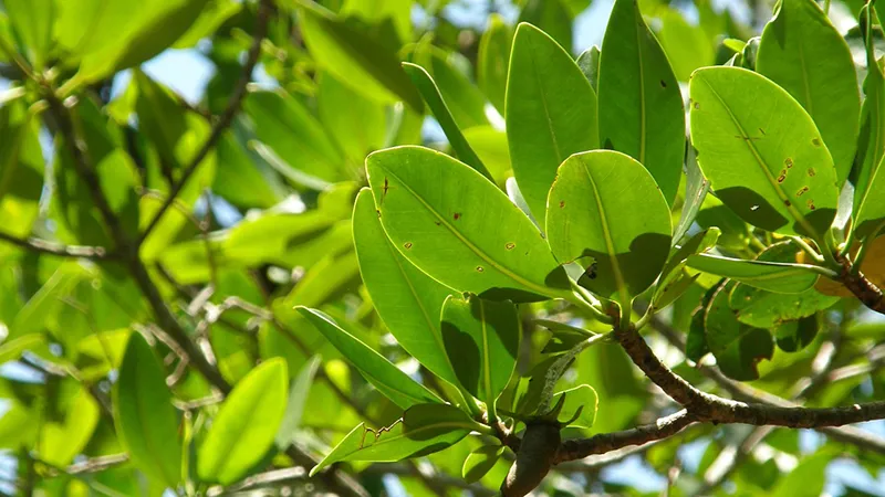 featured image