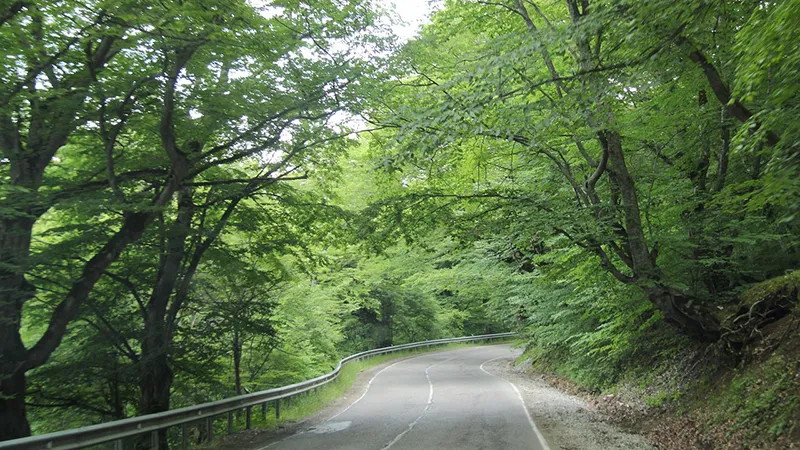 featured image