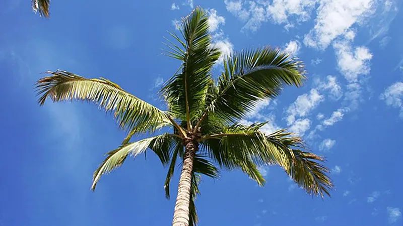 featured image