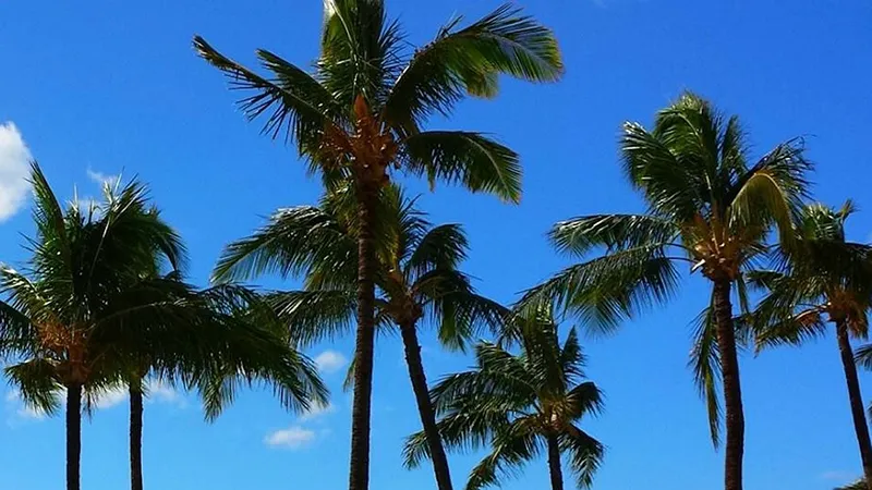 featured image