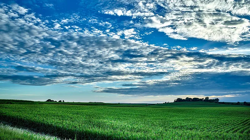 featured image