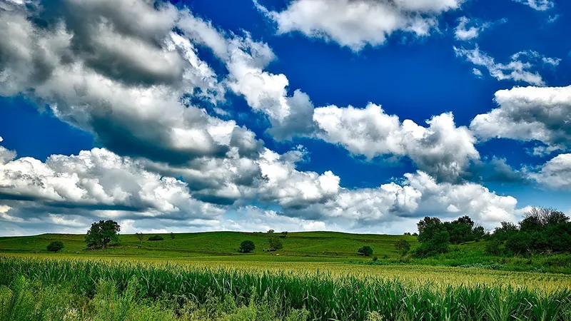 featured image